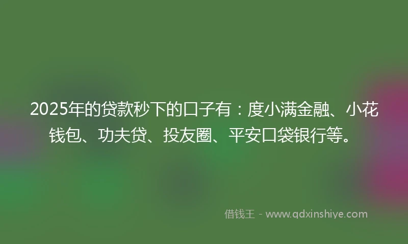 2025年的贷款秒下的口子有：度小满金融、小花钱包、功夫贷、投友圈、平安口袋银行等。