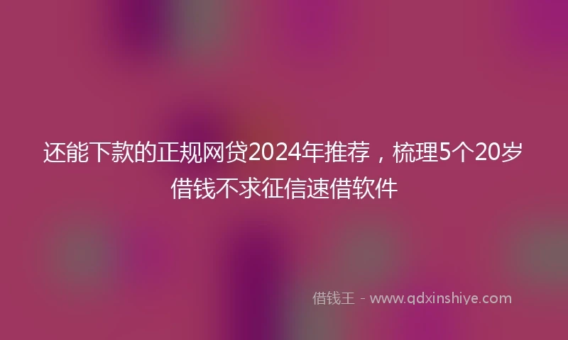还能下款的正规网贷2024年推荐，梳理5个20岁借钱不求征信速借软件