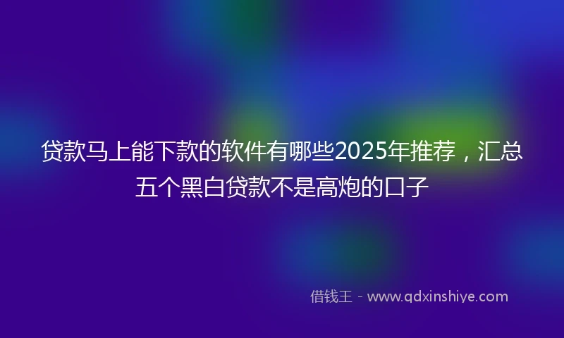 贷款马上能下款的软件有哪些2025年推荐，汇总五个黑白贷款不是高炮的口子