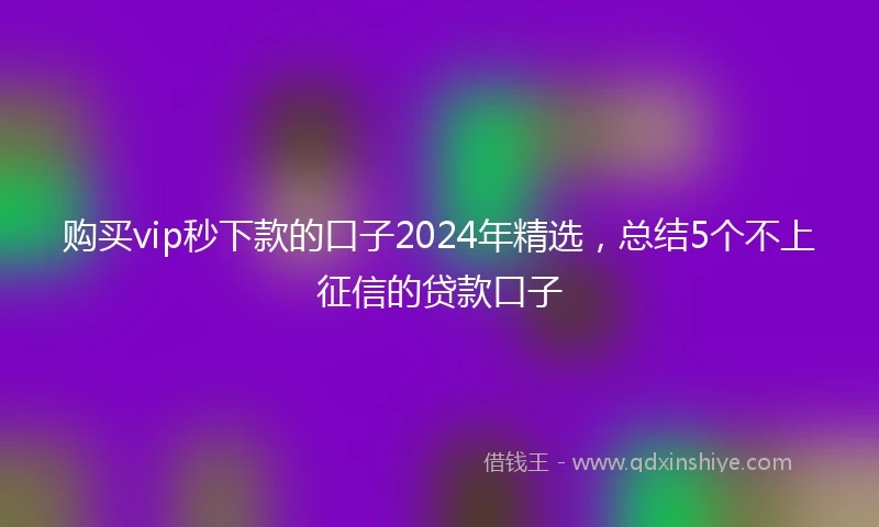 购买vip秒下款的口子2024年精选，总结5个不上征信的贷款口子