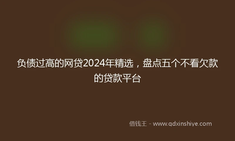 负债过高的网贷2024年精选，盘点五个不看欠款的贷款平台