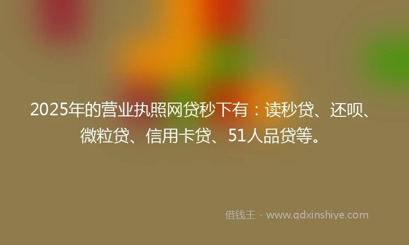 2025年的营业执照网贷秒下有：读秒贷、还呗、微粒贷、信用卡贷、51人品贷等。