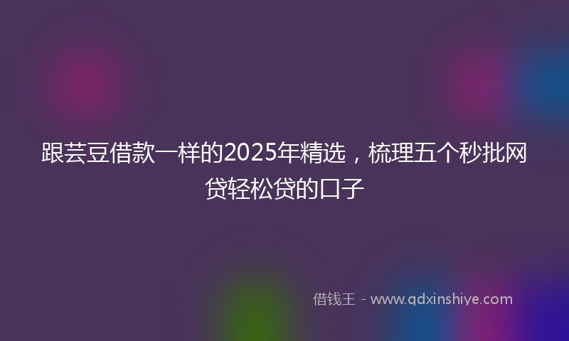 跟芸豆借款一样的2025年精选，梳理五个秒批网贷轻松贷的口子