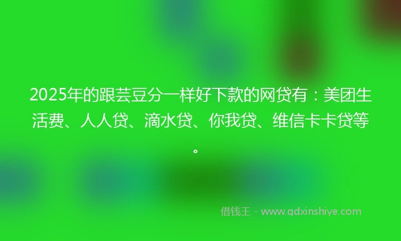 2025年的跟芸豆分一样好下款的网贷有：美团生活费、人人贷、滴水贷、你我贷、维信卡卡贷等。