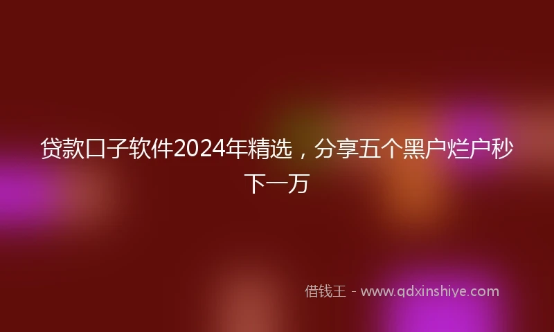 贷款口子软件2024年精选，分享五个黑户烂户秒下一万
