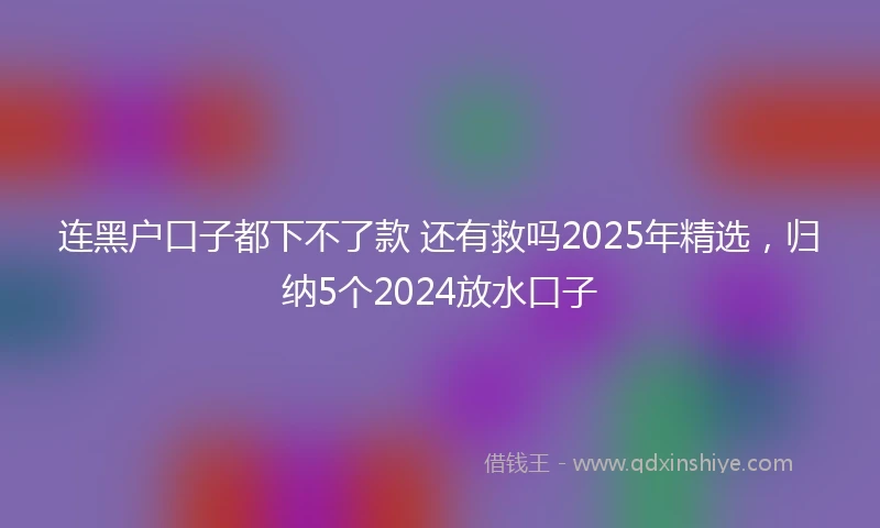 连黑户口子都下不了款 还有救吗2025年精选，归纳5个2024放水口子