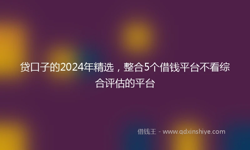贷口子的2024年精选，整合5个借钱平台不看综合评估的平台