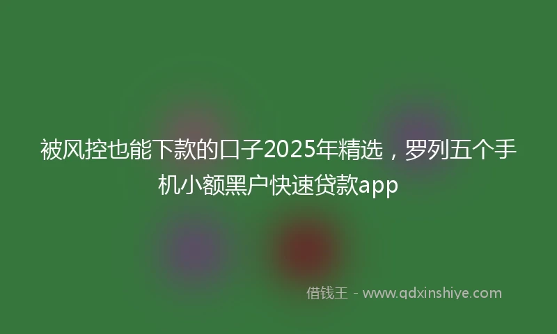 被风控也能下款的口子2025年精选，罗列五个手机小额黑户快速贷款app