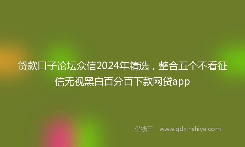 贷款口子论坛众信2024年精选，整合五个不看征信无视黑白百分百下款网贷app