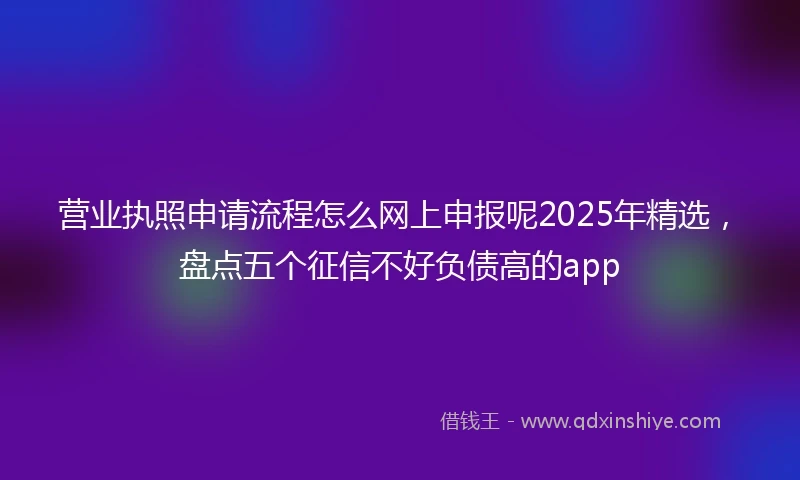 营业执照申请流程怎么网上申报呢2025年精选，盘点五个征信不好负债高的app