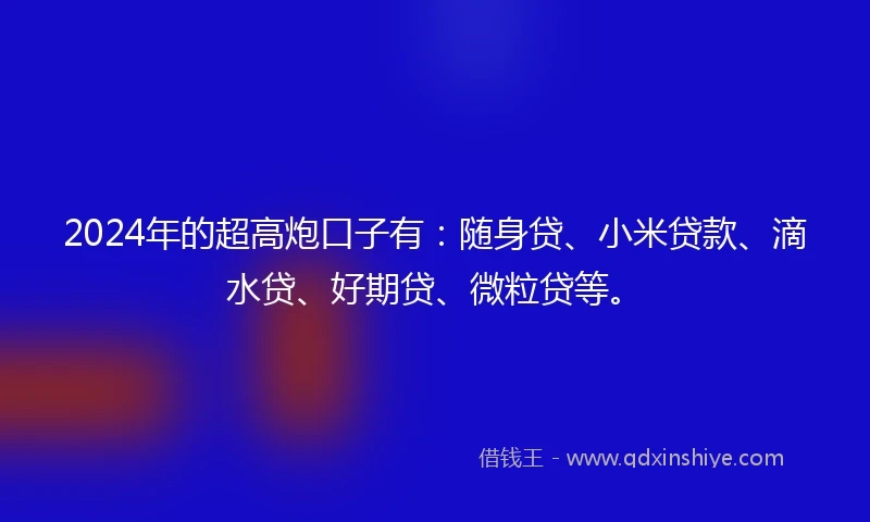2024年的超高炮口子有：随身贷、小米贷款、滴水贷、好期贷、微粒贷等。