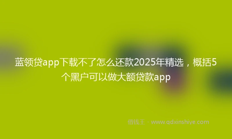 蓝领贷app下载不了怎么还款2025年精选，概括5个黑户可以做大额贷款app