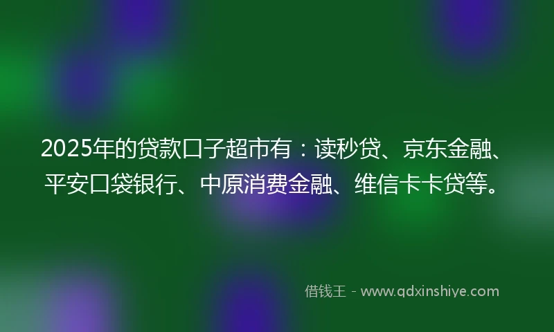 2025年的贷款口子超市有：读秒贷、京东金融、平安口袋银行、中原消费金融、维信卡卡贷等。