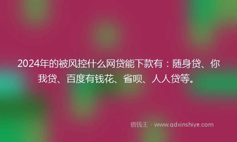 2024年的被风控什么网贷能下款有：随身贷、你我贷、百度有钱花、省呗、人人贷等。