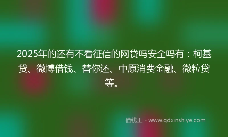 2025年的还有不看征信的网贷吗安全吗有：柯基贷、微博借钱、替你还、中原消费金融、微粒贷等。