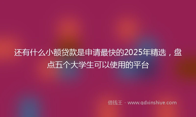 还有什么小额贷款是申请最快的2025年精选，盘点五个大学生可以使用的平台