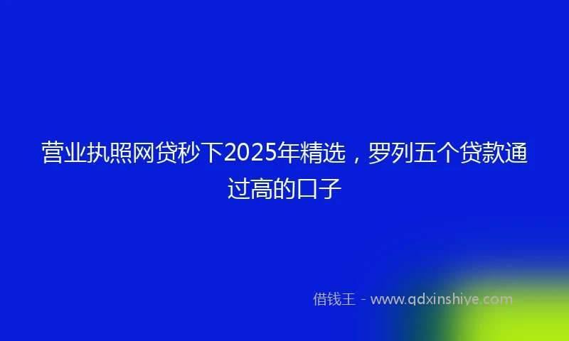 营业执照网贷秒下2025年精选，罗列五个贷款通过高的口子