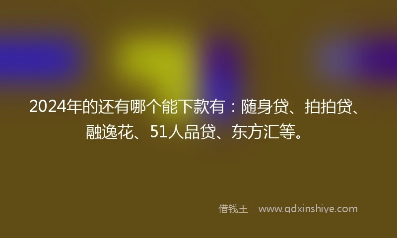 2024年的还有哪个能下款有：随身贷、拍拍贷、融逸花、51人品贷、东方汇等。