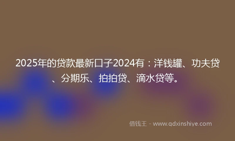 2025年的贷款最新口子2024有：洋钱罐、功夫贷、分期乐、拍拍贷、滴水贷等。