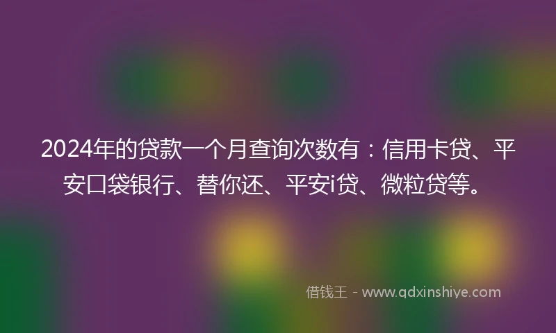 2024年的贷款一个月查询次数有：信用卡贷、平安口袋银行、替你还、平安i贷、微粒贷等。