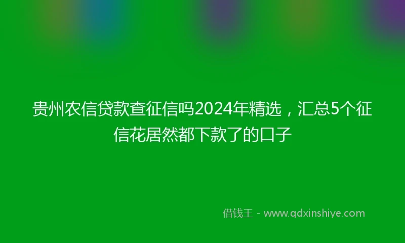 贵州农信贷款查征信吗2024年精选，汇总5个征信花居然都下款了的口子