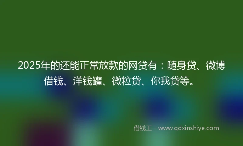 2025年的还能正常放款的网贷有：随身贷、微博借钱、洋钱罐、微粒贷、你我贷等。