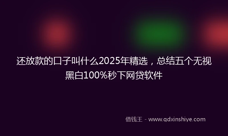 还放款的口子叫什么2025年精选，总结五个无视黑白100%秒下网贷软件