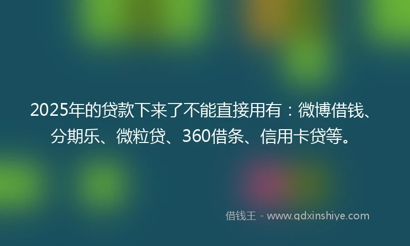 2025年的贷款下来了不能直接用有：微博借钱、分期乐、微粒贷、360借条、信用卡贷等。