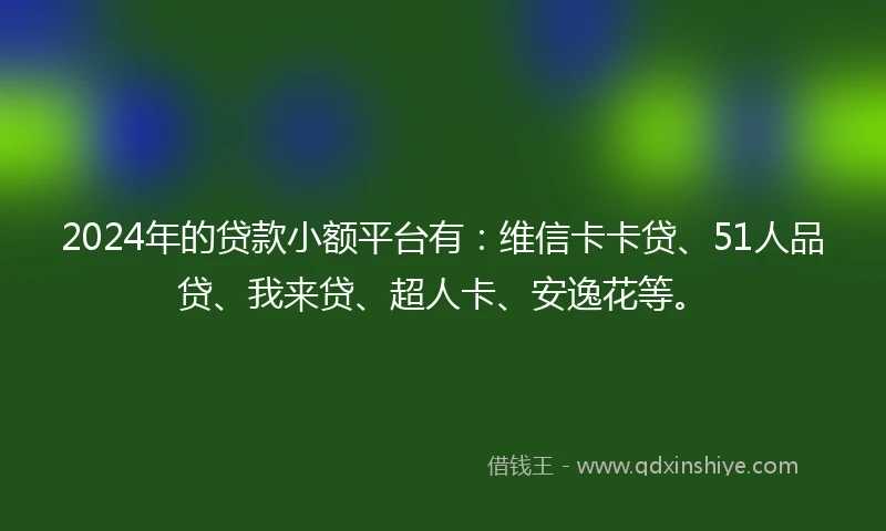 2024年的贷款小额平台有：维信卡卡贷、51人品贷、我来贷、超人卡、安逸花等。