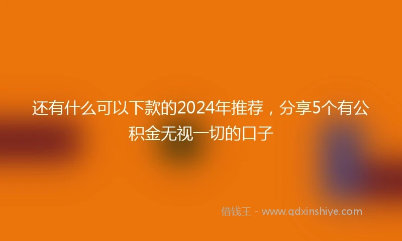 还有什么可以下款的2024年推荐，分享5个有公积金无视一切的口子