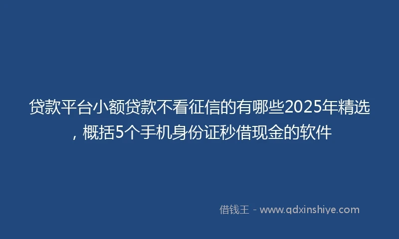 贷款平台小额贷款不看征信的有哪些2025年精选，概括5个手机身份证秒借现金的软件