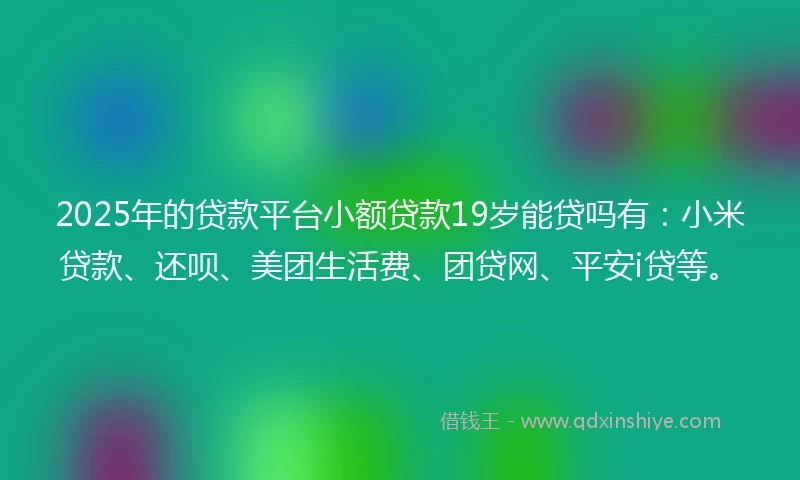 2025年的贷款平台小额贷款19岁能贷吗有：小米贷款、还呗、美团生活费、团贷网、平安i贷等。