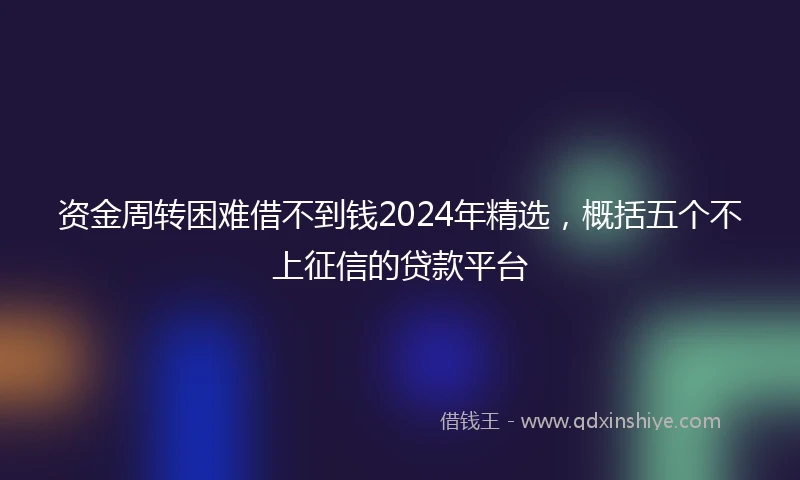 资金周转困难借不到钱2024年精选，概括五个不上征信的贷款平台