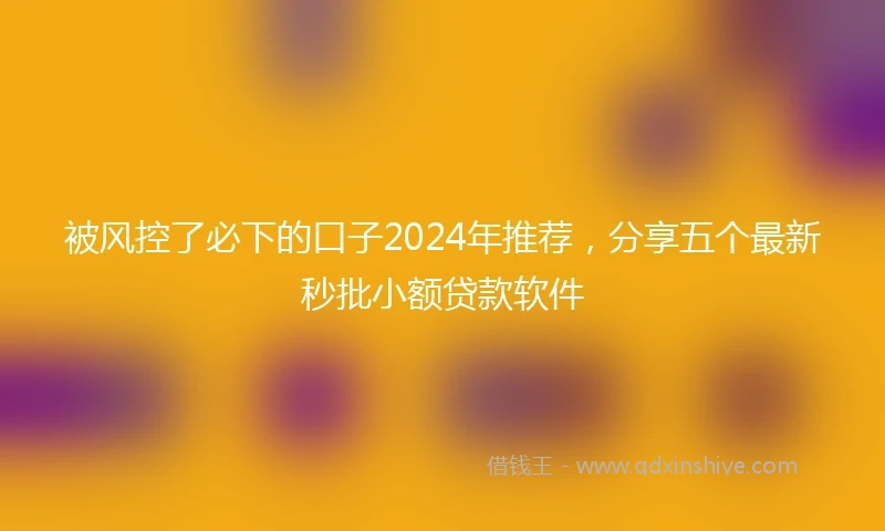 被风控了必下的口子2024年推荐，分享五个最新秒批小额贷款软件