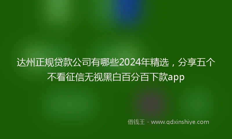 达州正规贷款公司有哪些2024年精选，分享五个不看征信无视黑白百分百下款app