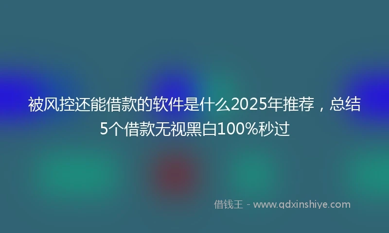 被风控还能借款的软件是什么2025年推荐，总结5个借款无视黑白100%秒过