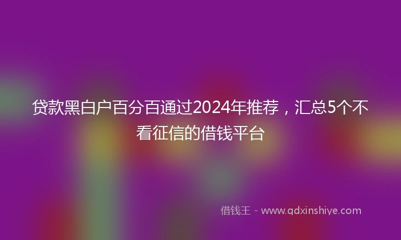 贷款黑白户百分百通过2024年推荐，汇总5个不看征信的借钱平台