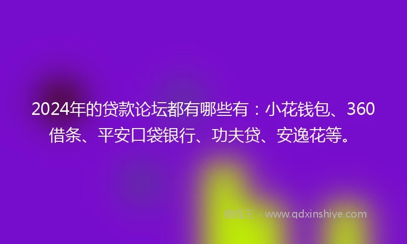 2024年的贷款论坛都有哪些有：小花钱包、360借条、平安口袋银行、功夫贷、安逸花等。