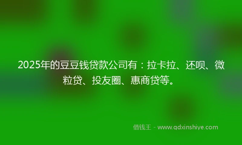 2025年的豆豆钱贷款公司有：拉卡拉、还呗、微粒贷、投友圈、惠商贷等。