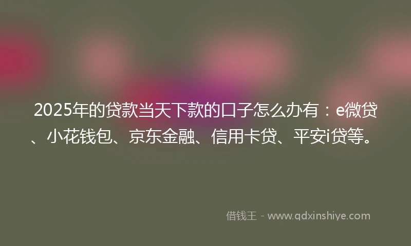 2025年的贷款当天下款的口子怎么办有：e微贷、小花钱包、京东金融、信用卡贷、平安i贷等。