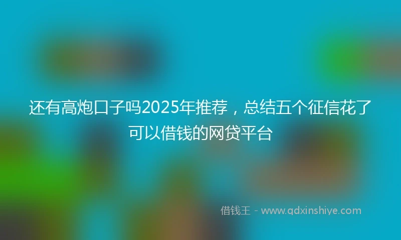 还有高炮口子吗2025年推荐，总结五个征信花了可以借钱的网贷平台