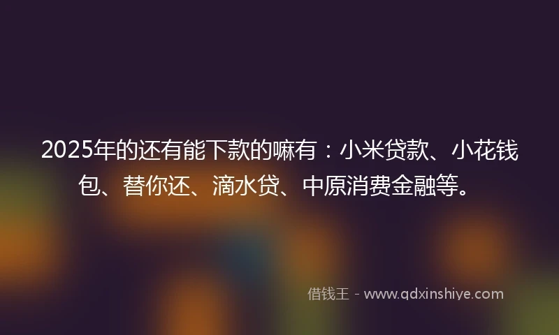 2025年的还有能下款的嘛有：小米贷款、小花钱包、替你还、滴水贷、中原消费金融等。