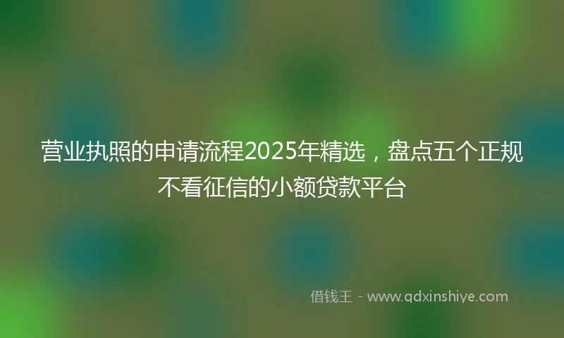 营业执照的申请流程2025年精选，盘点五个正规不看征信的小额贷款平台