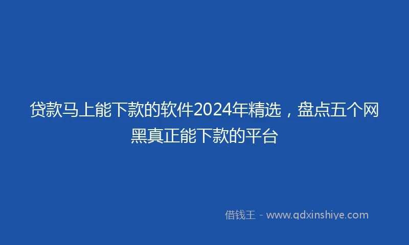 贷款马上能下款的软件2024年精选，盘点五个网黑真正能下款的平台