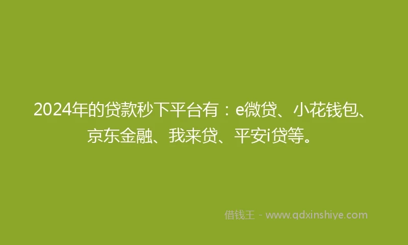 2024年的贷款秒下平台有：e微贷、小花钱包、京东金融、我来贷、平安i贷等。