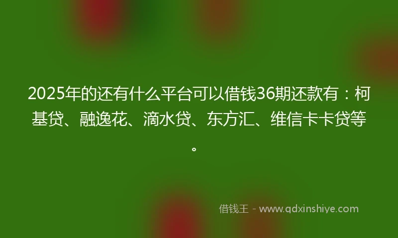 2025年的还有什么平台可以借钱36期还款有：柯基贷、融逸花、滴水贷、东方汇、维信卡卡贷等。