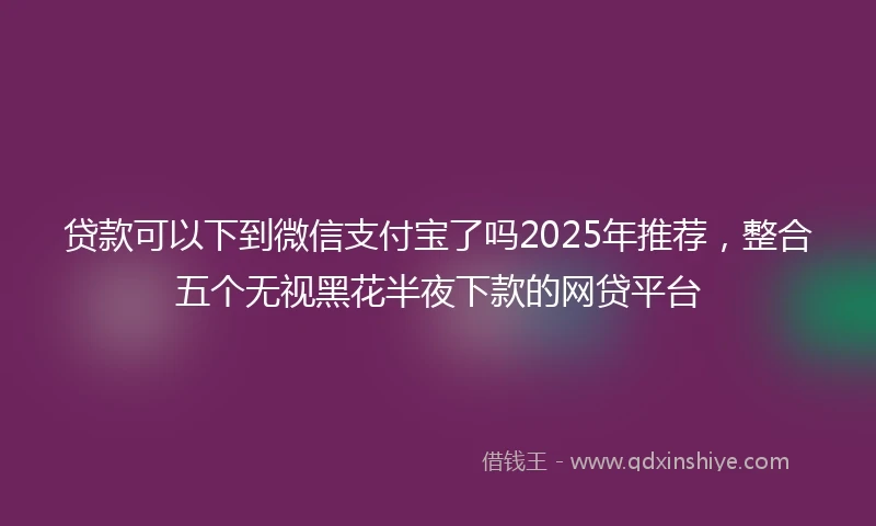 贷款可以下到微信支付宝了吗2025年推荐，整合五个无视黑花半夜下款的网贷平台