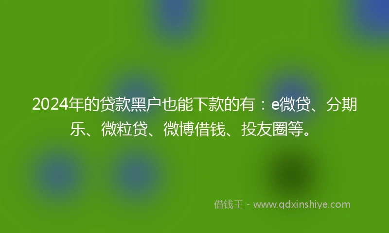 2024年的贷款黑户也能下款的有：e微贷、分期乐、微粒贷、微博借钱、投友圈等。
