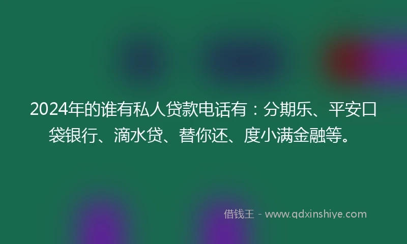 2024年的谁有私人贷款电话有：分期乐、平安口袋银行、滴水贷、替你还、度小满金融等。