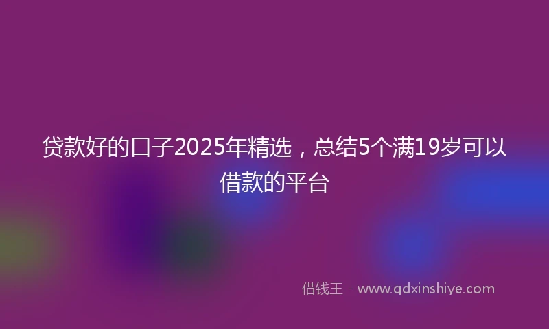 贷款好的口子2025年精选，总结5个满19岁可以借款的平台